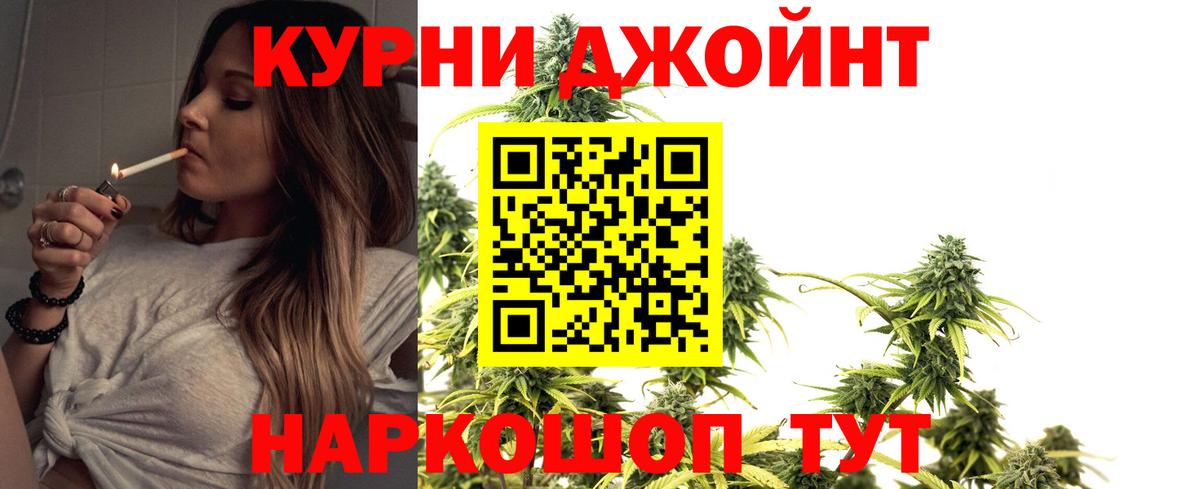 Бошки Шишки семена Грозный
